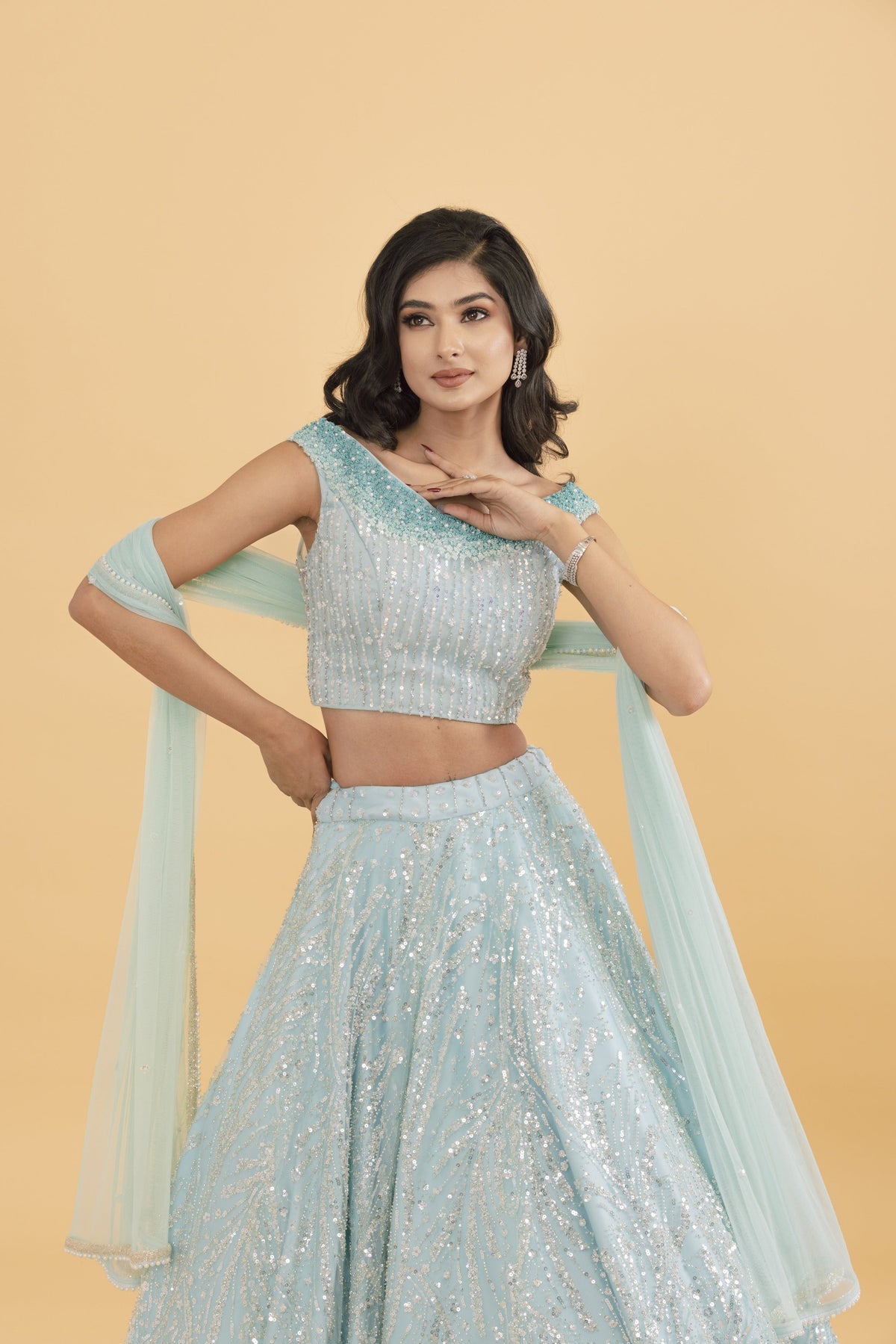 Blue Net Lehenga with Silver Embellishments
