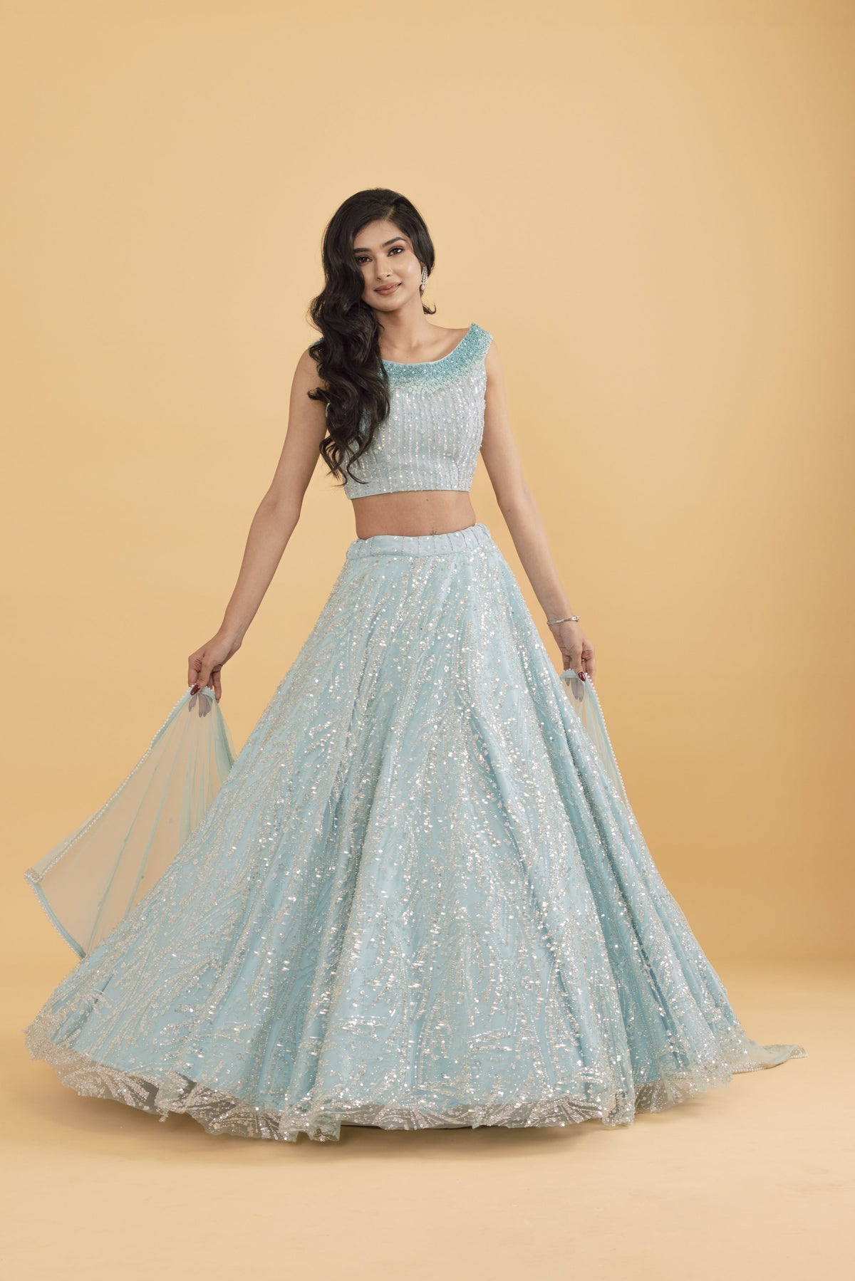 Blue Net Lehenga with Silver Embellishments